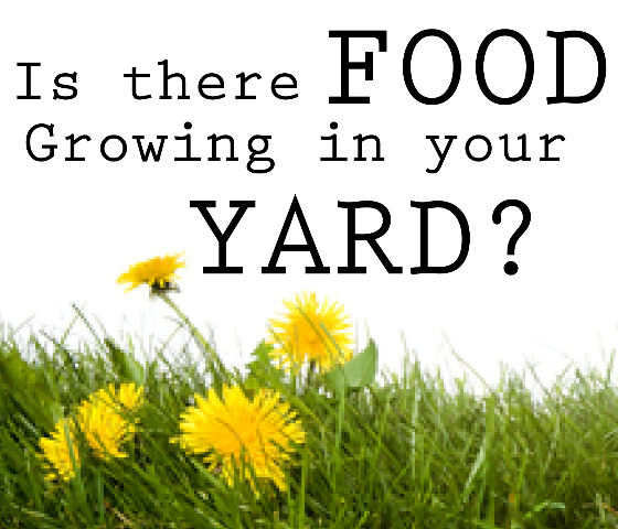 food-in-your-yard-01 C2