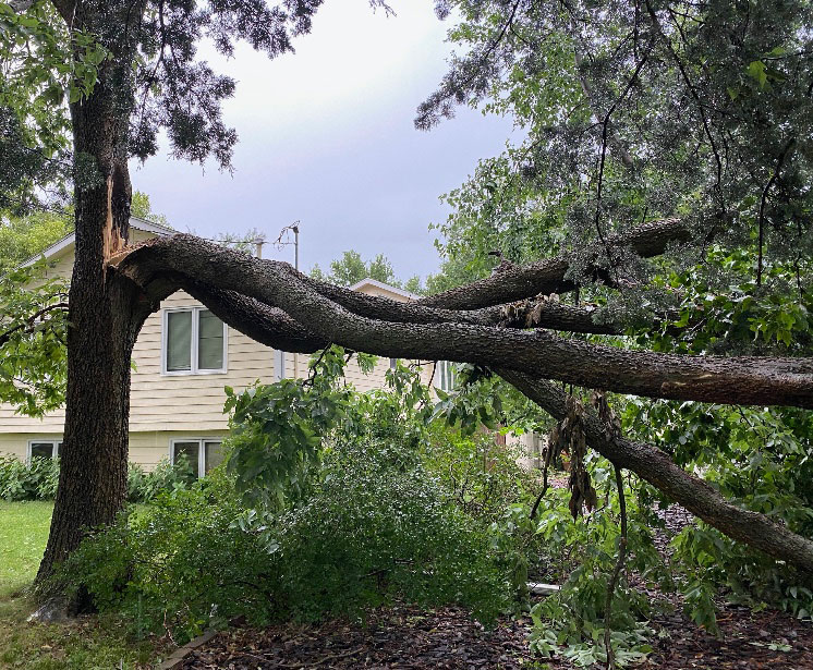 Des-Moines-Tree-Damage